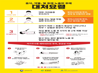 갤러리